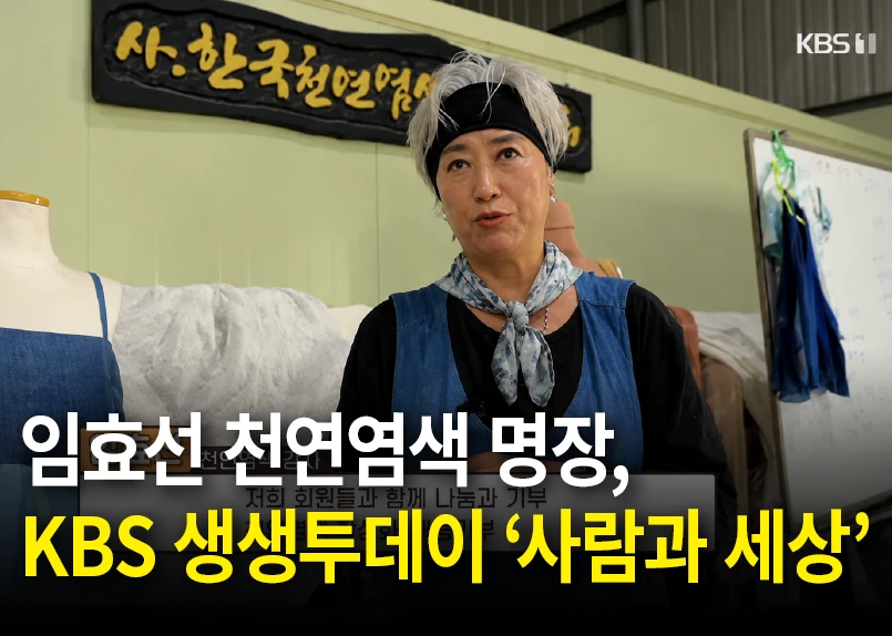 임효선 천연염색 명장, KBS 생생투데이 '자연과 함께하는 전통공예'
