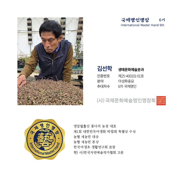김선학
