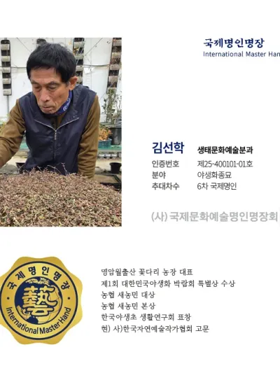 김선학